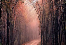 九游娱乐首页-西雅图海湾者后防联动升级,力求限制对方攻势