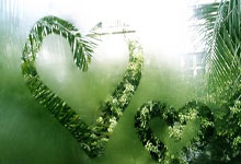 九游体育APP下载-帕尔梅拉斯进攻端火力全开，状态持续爆发