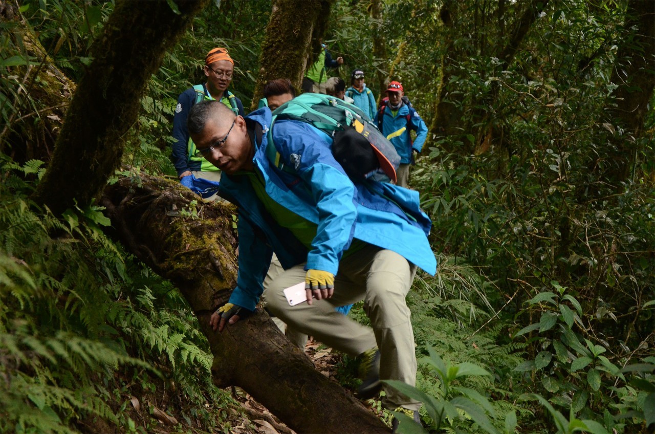 非洲精英赛场：热血对抗点燃全场