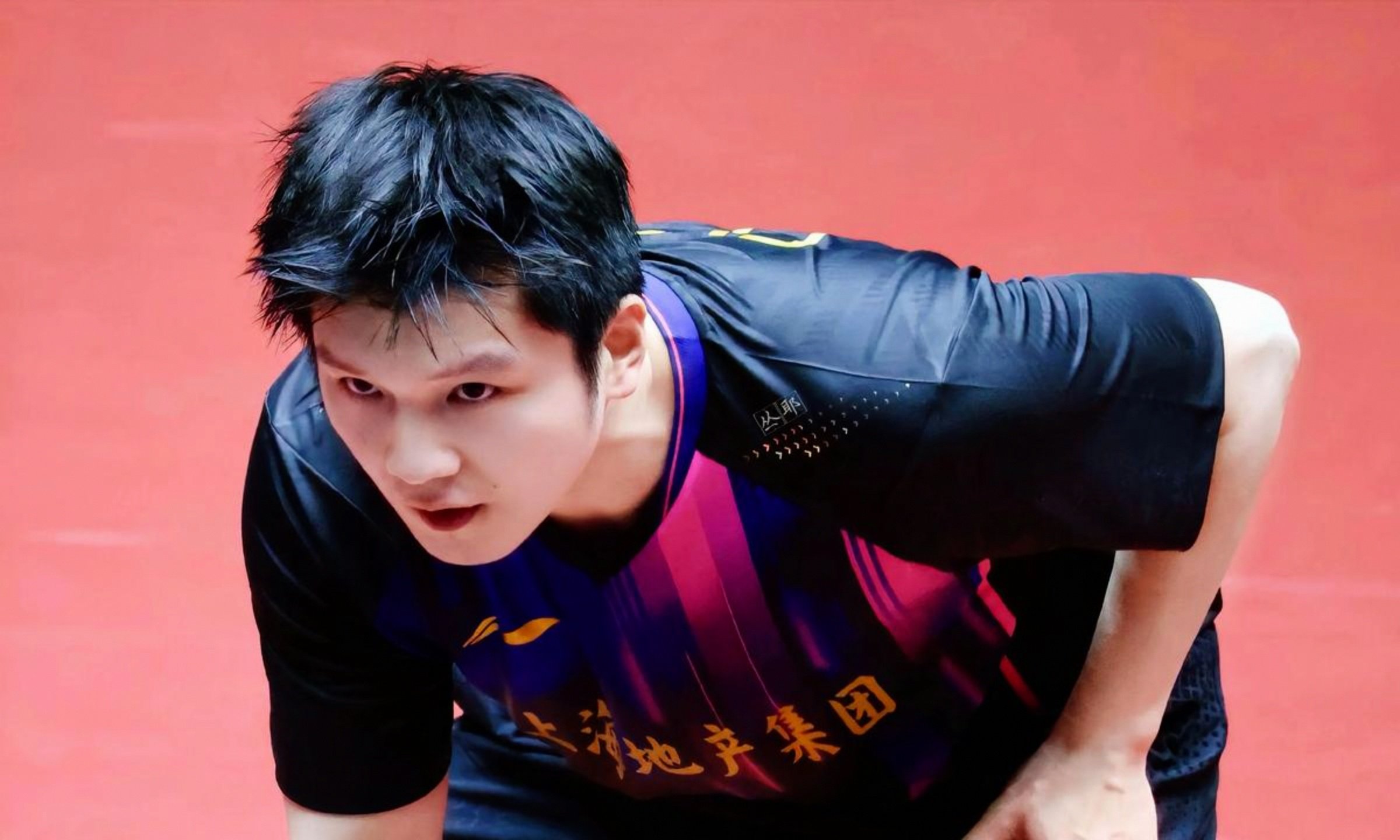 日本队轻取奥地利队，樊振东高光表现的简单介绍