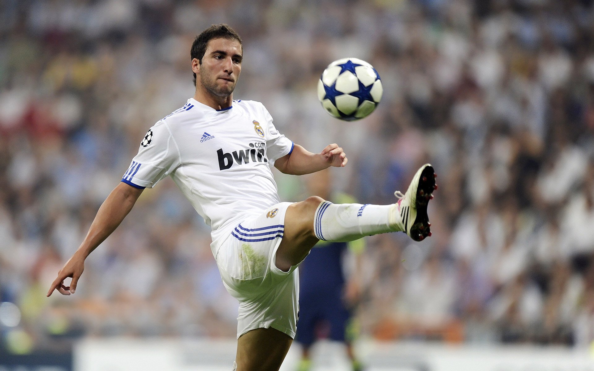 王者的失速与诗人的逆袭，霍勒迪的街道赛之夜